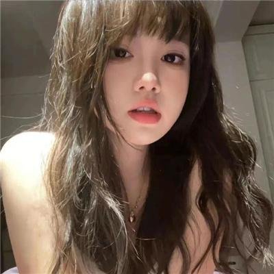 树袋熊